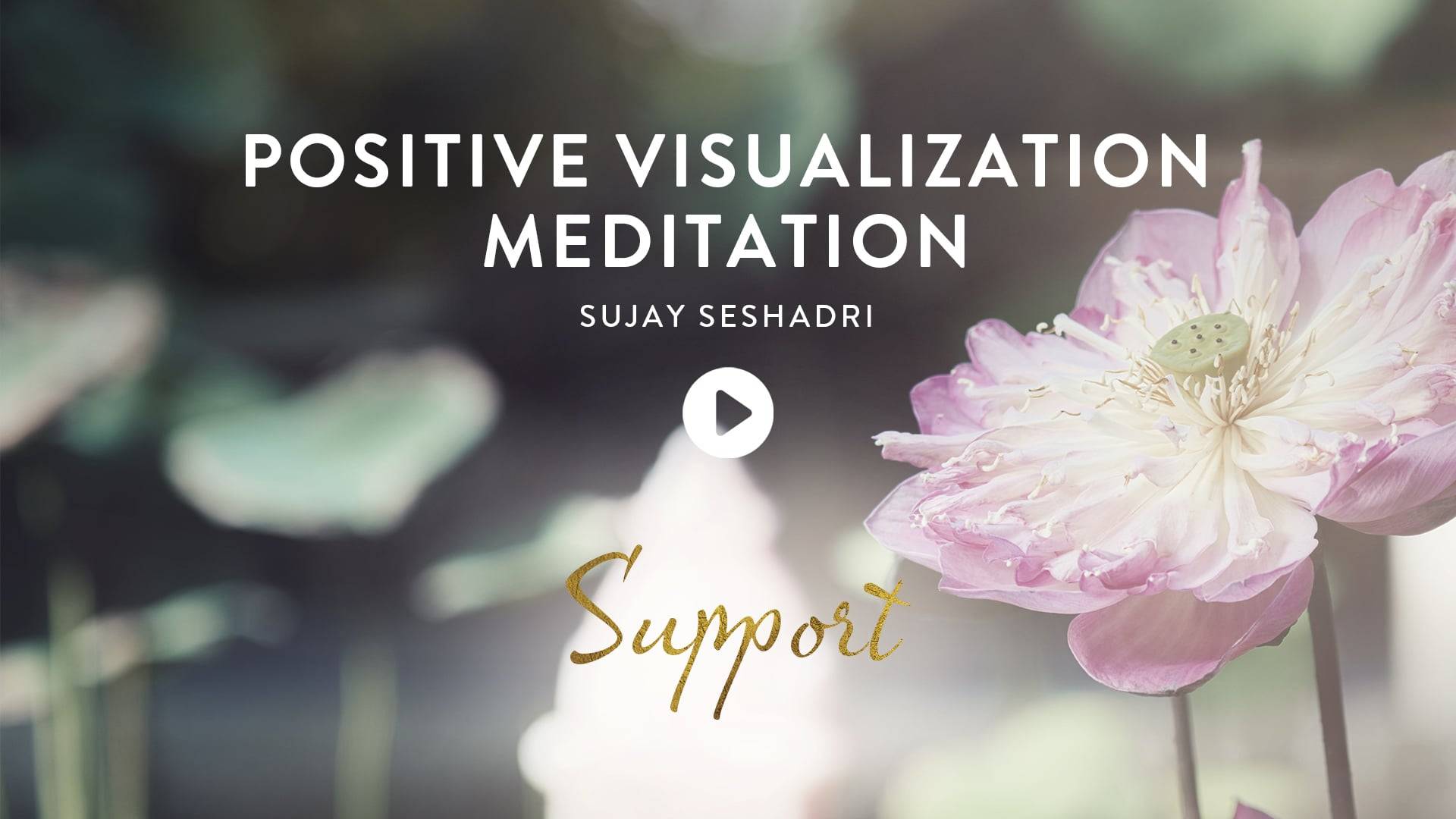 Positive Visualization Meditation With Sujay 30 Mins Guided Meditation