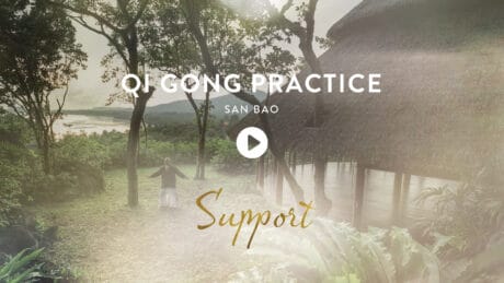 Qi Gong Practice With San Bao