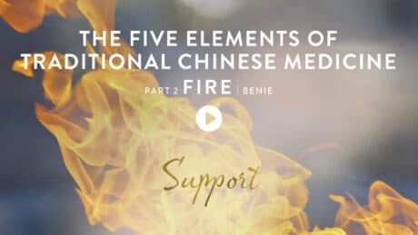 TCM The Five Elements 2 Fire