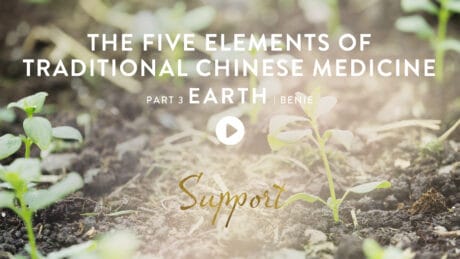 TCM The Five Elements 3 Earth