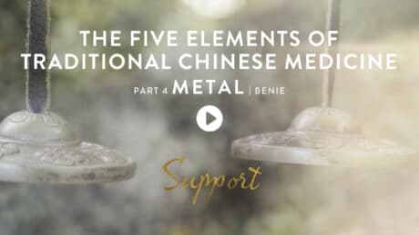 TCM The Five Elements 4 Metal
