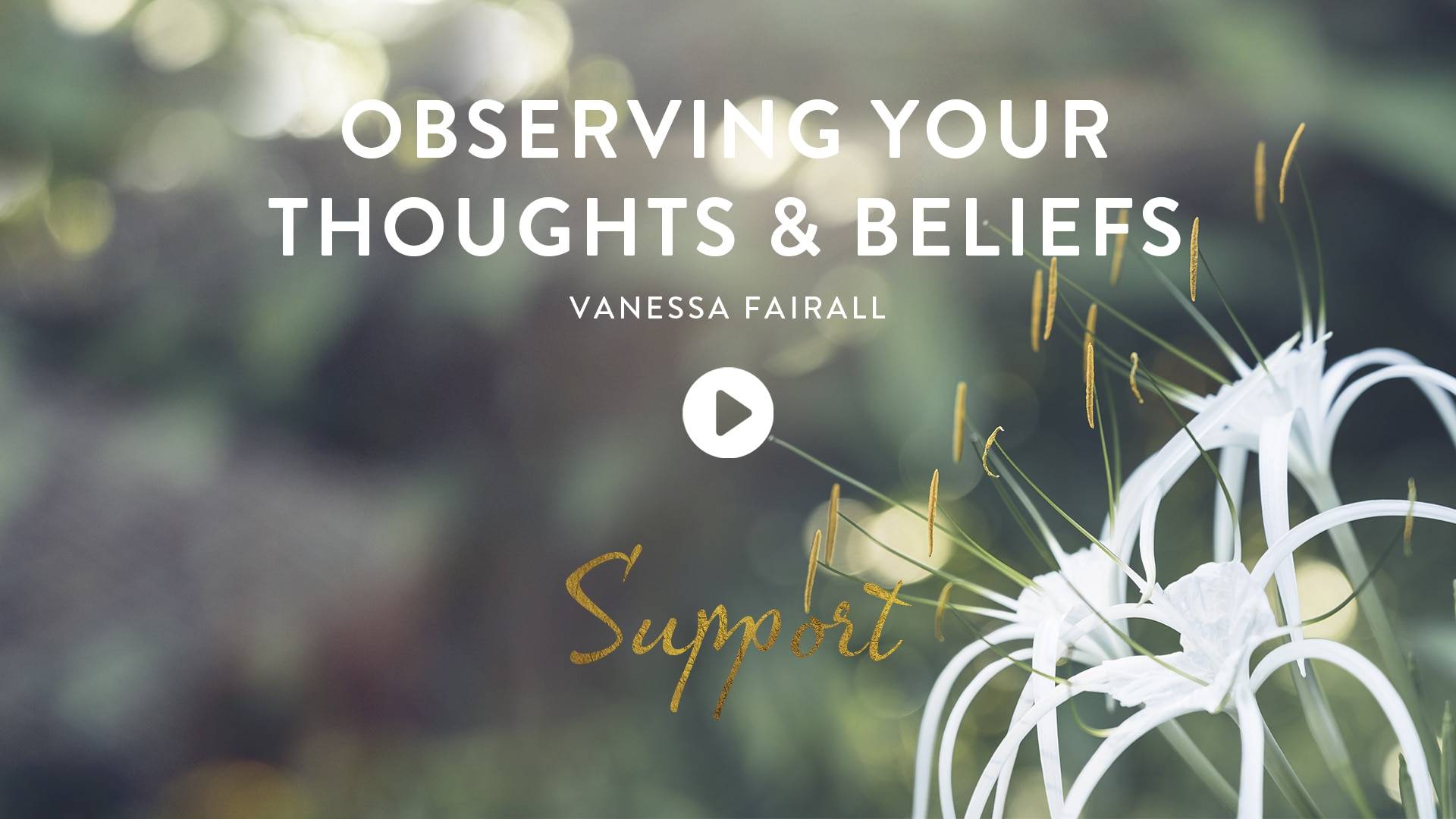 Observing Thoughts Beliefs