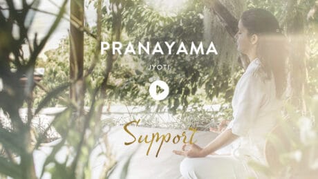 Online Pranayama Session