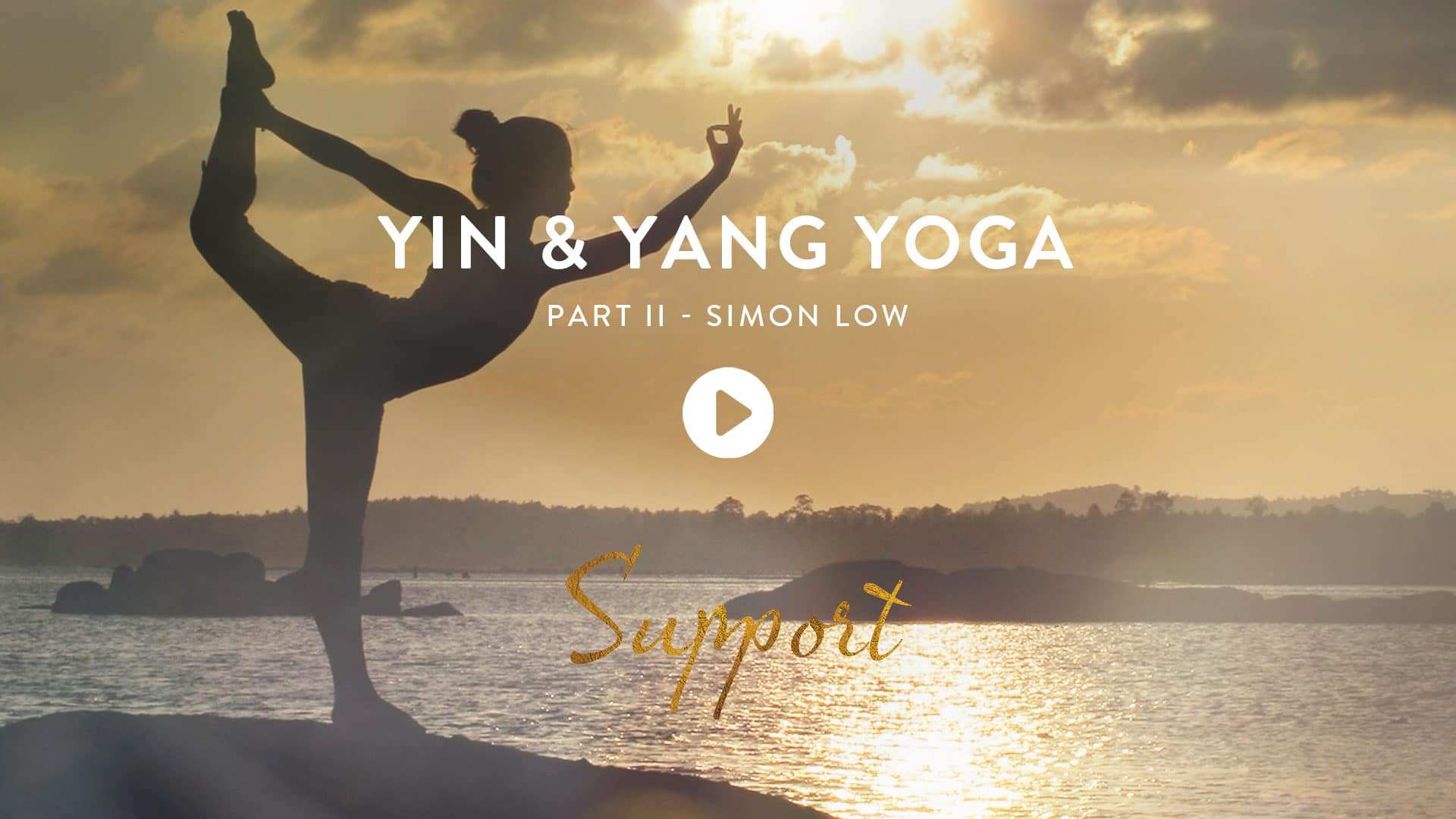 Yin & Yang Yoga - 2  Online Yoga series with teacher Simon Low