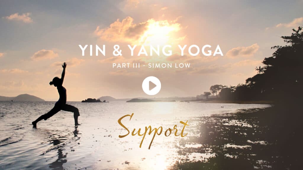 Yin and Yang Yoga - With Simon Low [Import anglais]