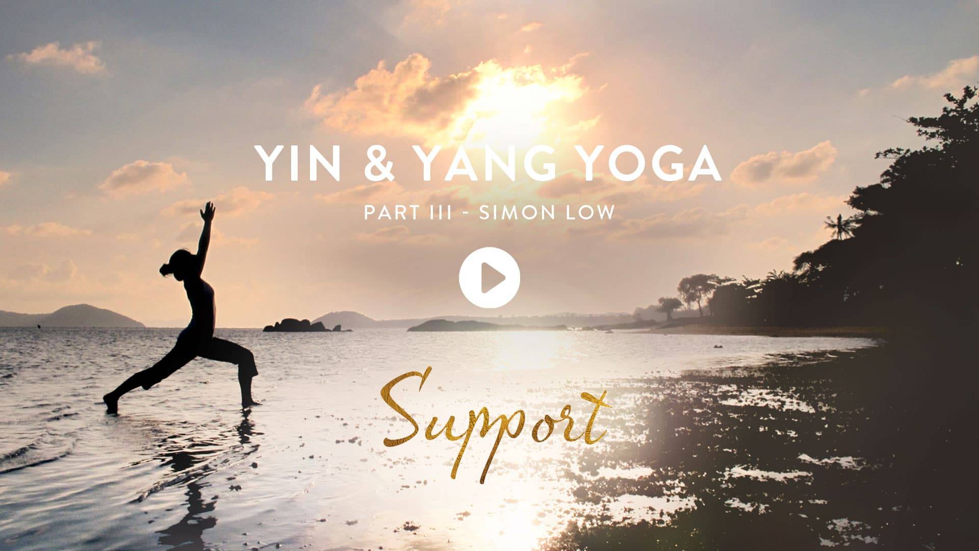 Yin & Yang Yoga-3  Online yoga series with Simon Low