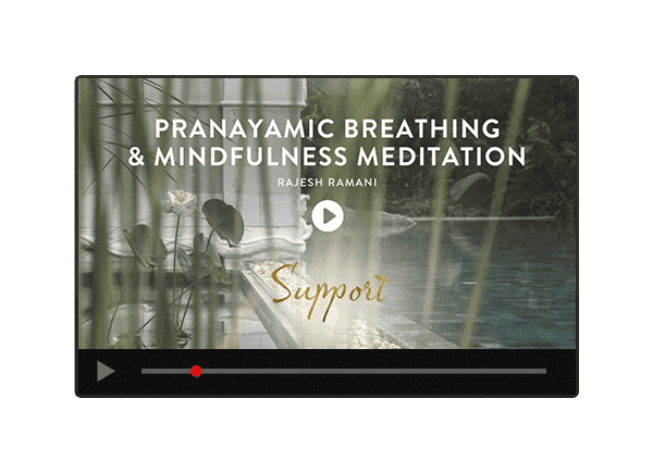 MINDFULNESS MEDITATION