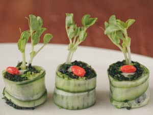 Fruits And Vegetable 01