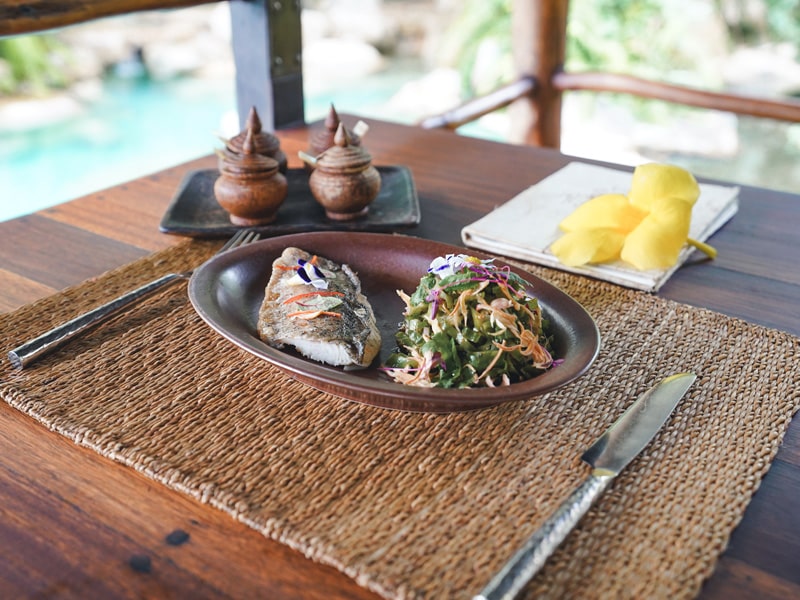 Gut health retreat