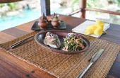 Gut health retreat